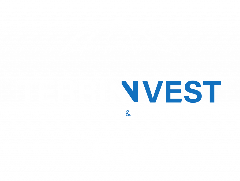 Logo Terrinvest